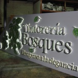 Tintoreria Bosques