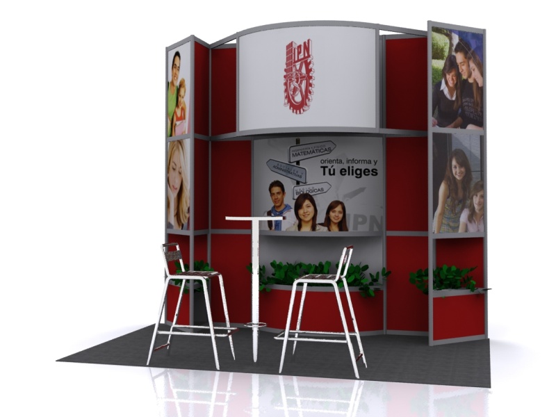 DEMS Profesiografica 2011