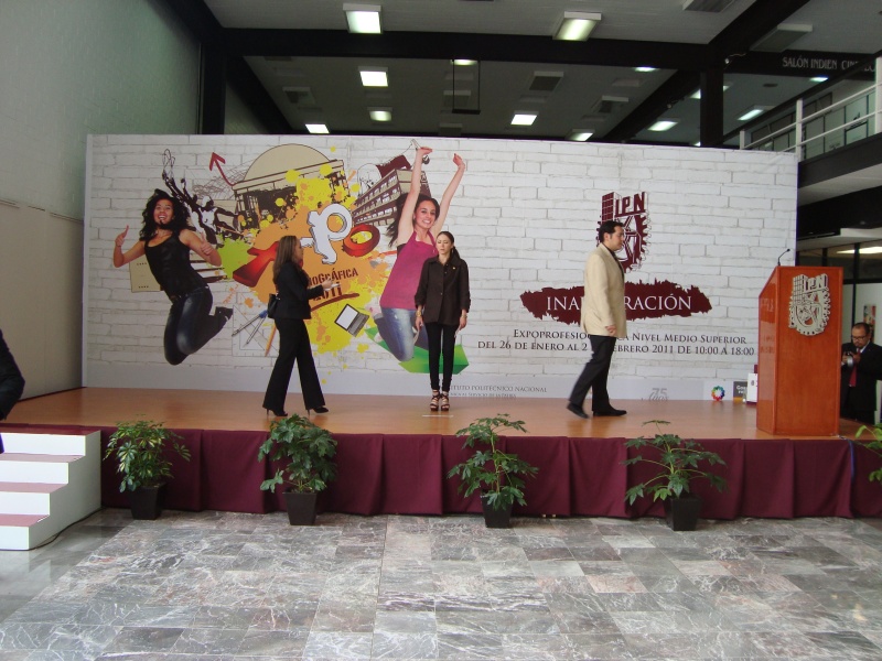 DEMS Profesiografica 2011