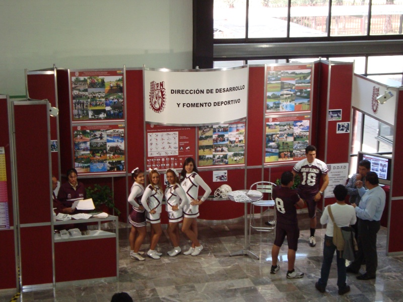 DEMS Profesiografica 2011