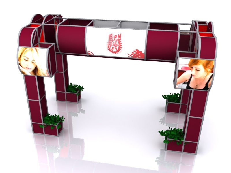 DES Profesiografica 2011