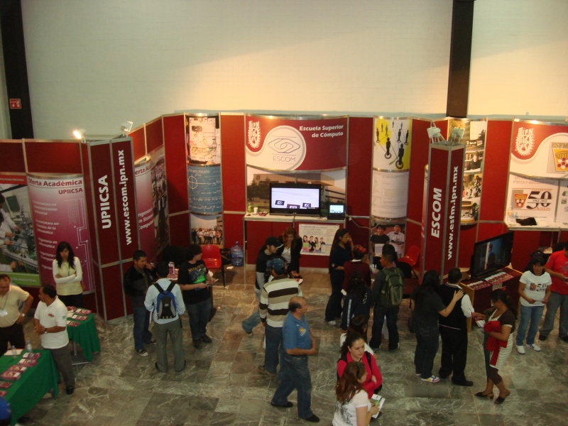 DES Profesiografica 2011