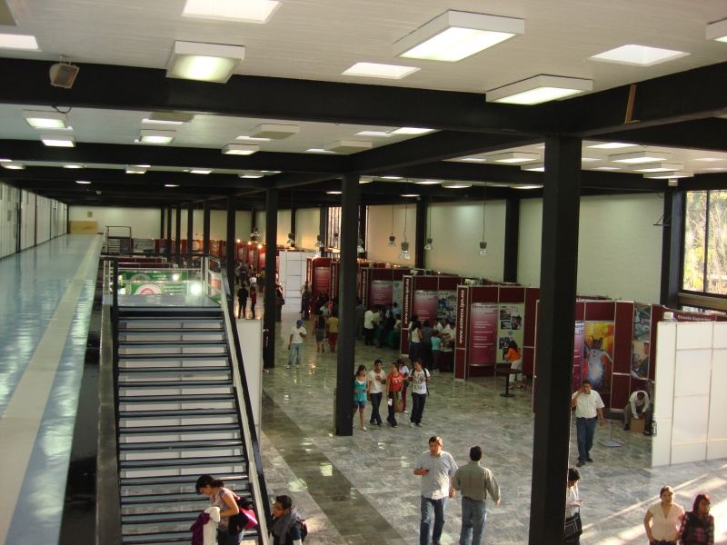 DES Profesiografica 2011