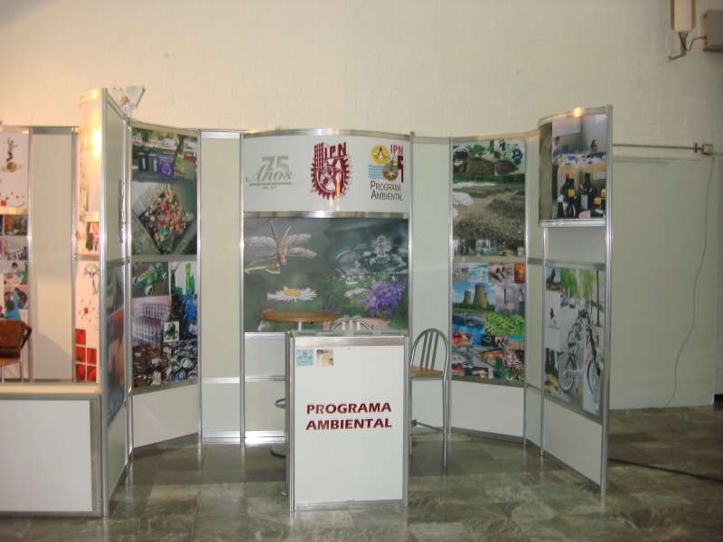 DES Profesiografica 2011