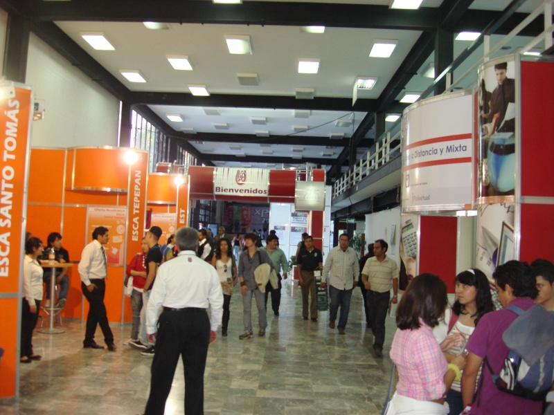 DES Profesiografica 2011