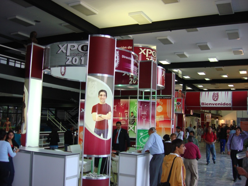 DES Profesiografica 2011